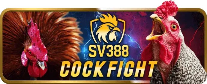 Ưu Đãi VIP